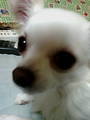 20070508220009.jpg